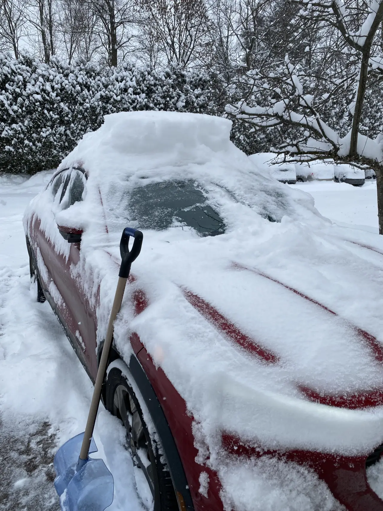 Vermont - Snow day - Jan 26th 2026
